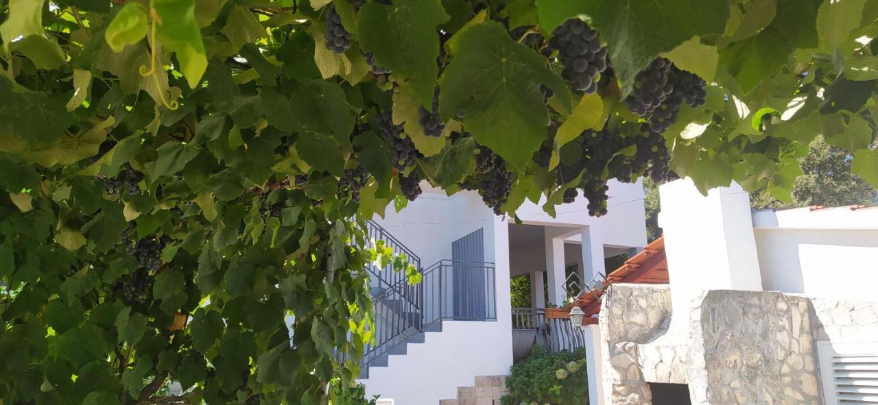 Apartment Lavanda Nova Razanj Bagian luar foto