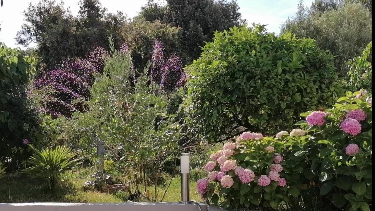 Apartment Lavanda Nova Razanj Bagian luar foto