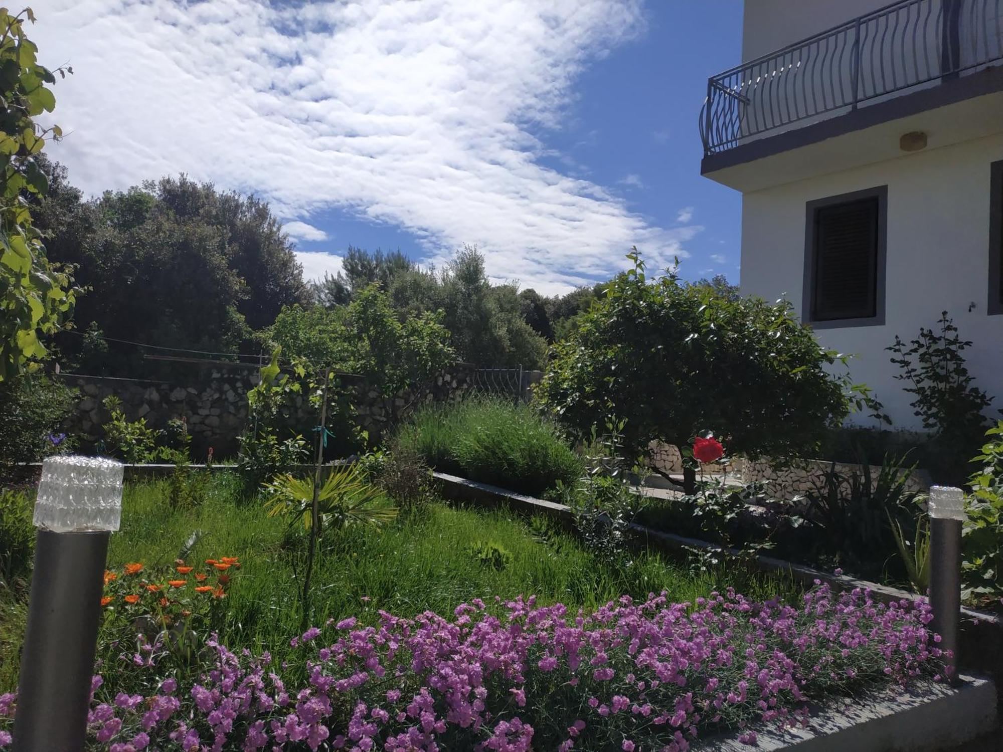 Apartment Lavanda Nova Razanj Bagian luar foto