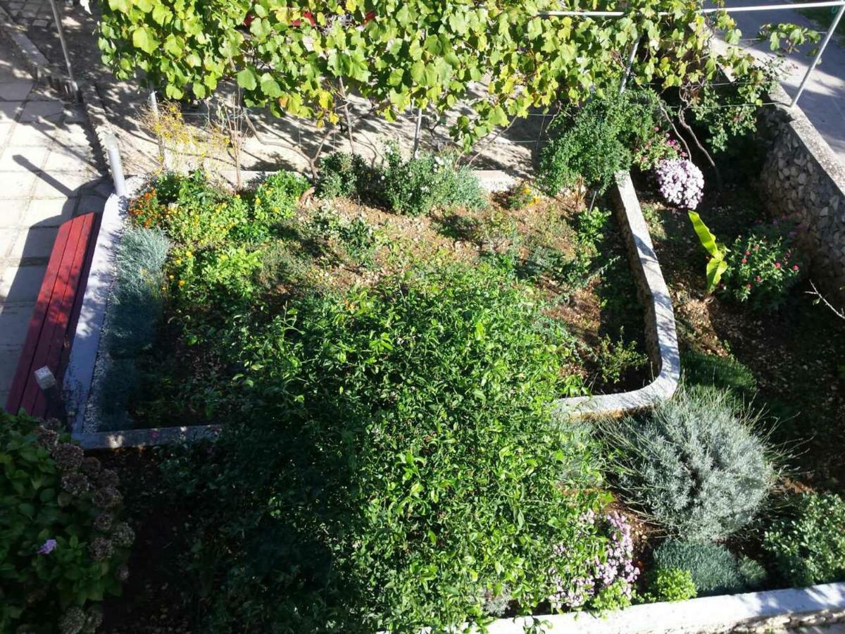 Apartment Lavanda Nova Razanj Bagian luar foto