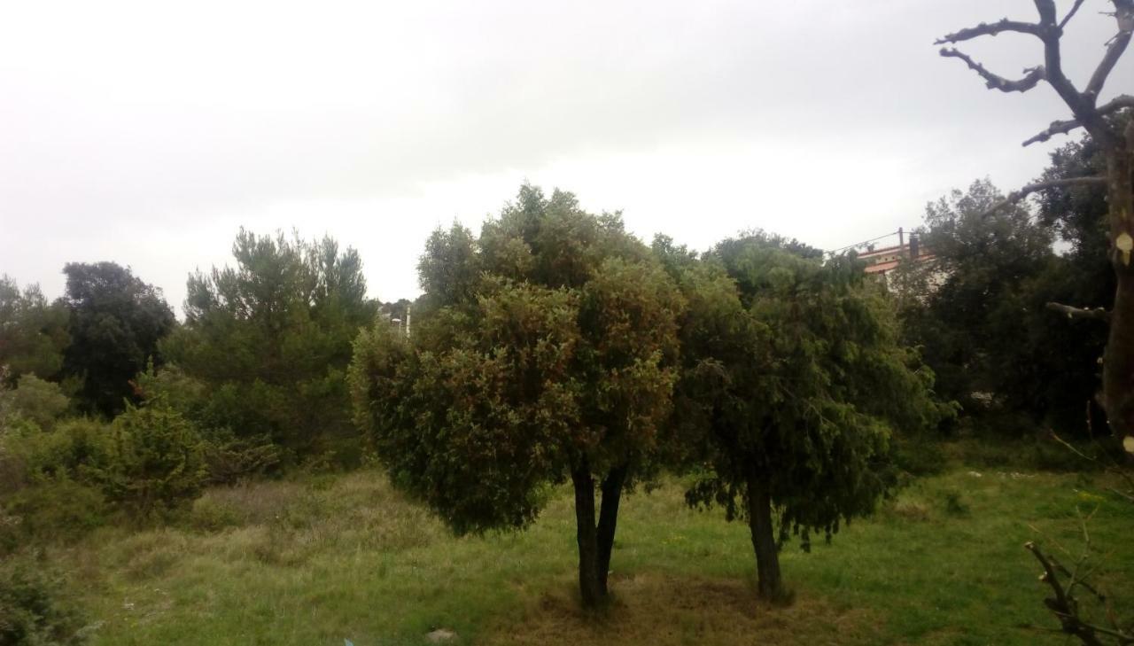 Apartment Lavanda Nova Razanj Bagian luar foto